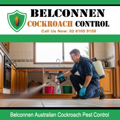 Licensed pest control technician spraying kitchen floor and cabinet base for Australian cockroach treatment in Belconnen