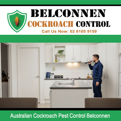 Pest control technician inspecting and spraying upper kitchen wall and cabinets for Australian cockroach control in Belconnen