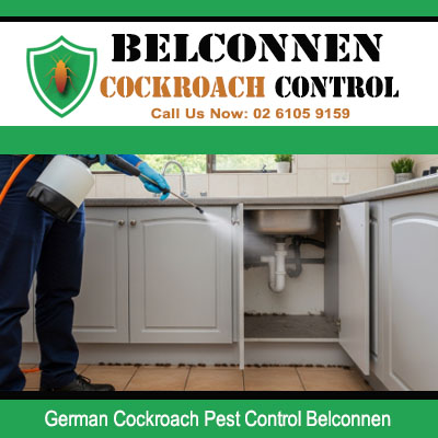Professional pest controller spraying inside cabinet under sink pipes in Belconnen property